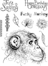 Load image into Gallery viewer, Funky Monkey PI044