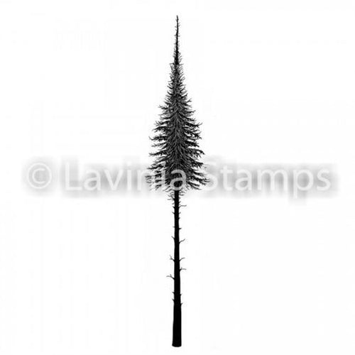 Fairy Fir Tree LAV478