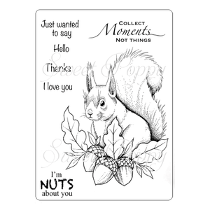 Squirrel A5 Stamp