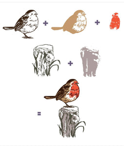 Colour Layering Robin