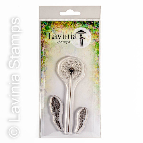 Tall Dandelion LAV747