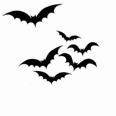 Bats LAV167