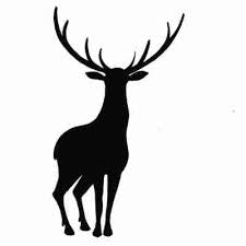 Stag lav218