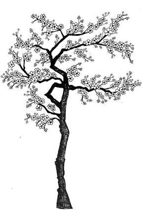 Cherry Blossom Tree LAV015