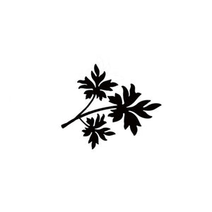 Leaf 1 - Mini LAV305
