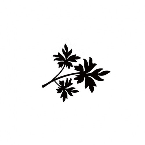 Leaf 1 - Mini LAV305