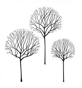 Skeleton Tree Scene LAV530