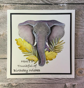 Elephant A5 Clear Stamp by Sweet Poppy