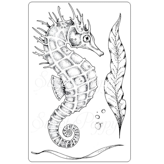 Seahorse Clear Stamp