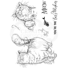 Load image into Gallery viewer, Fabulous Feline A5 PI108