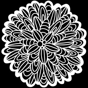 Cactus Dahlia 12 x 12