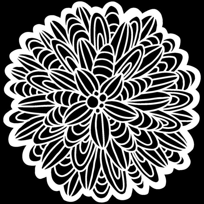 Cactus Dahlia 12 x 12