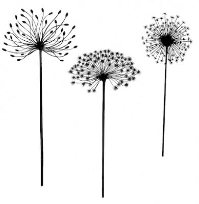 Dandelions LAV166