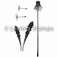 Discontinued Make a Dandelion LAV480