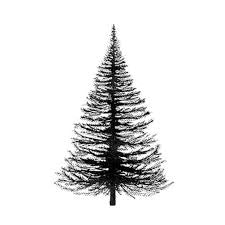 Fir Tree LAV022