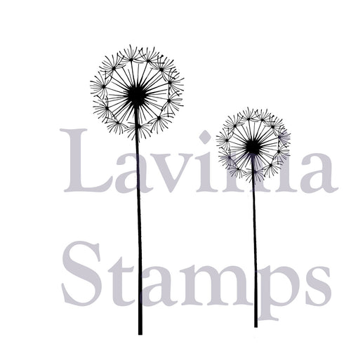 Fairy Dandelions LAV373