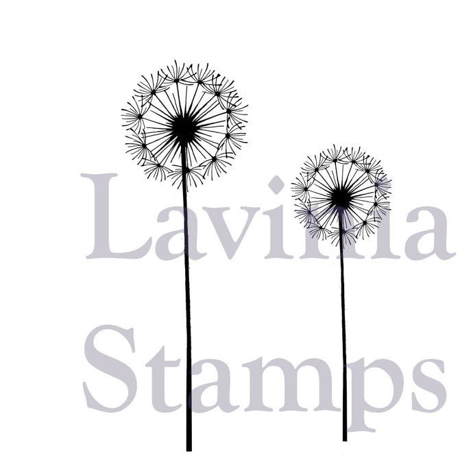 Fairy Dandelions LAV373