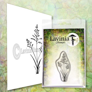 Orchard Grass LAV672